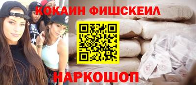 крисы Можга