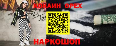 крисы Можга