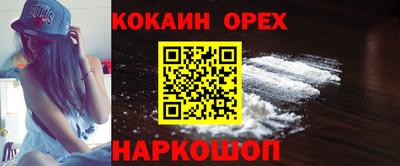 крисы Можга