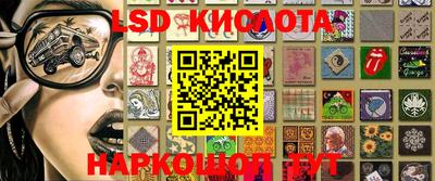 крисы Можга