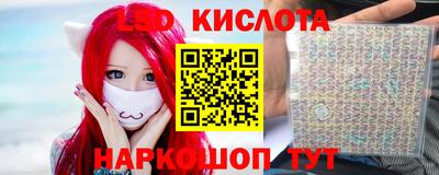 крисы Можга