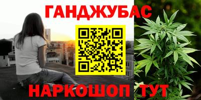 крисы Можга