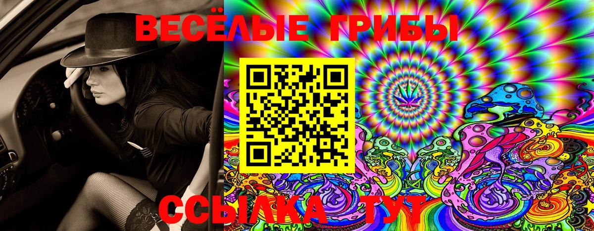 Галлюциногенные грибы GOLDEN TEACHER Чита